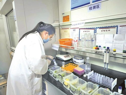 无锡快检 小窗口 守护 菜篮子 为民办实事项目提前完成上半年目标