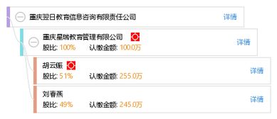 重庆翌日教育信息咨询有限责任公司 专业教育信息咨询服务的引领者