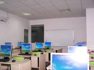 上海桓文教育信息咨询师生风采 用专业与情怀点亮教育之路